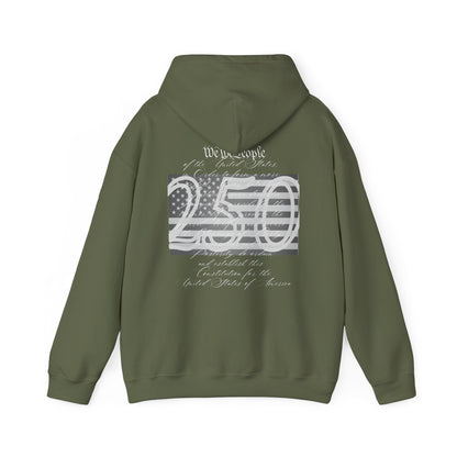 Patriotic We the People 250th Anniversary - Hoodie | Holiday | Roly Poly Print