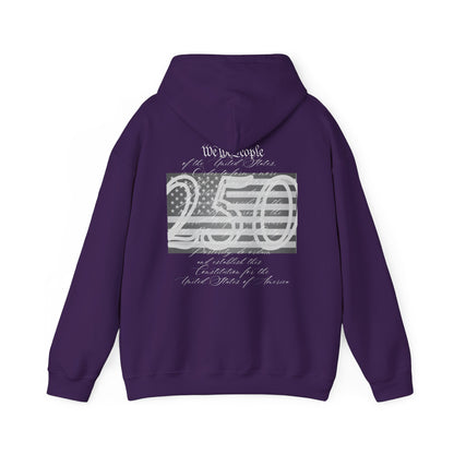 Patriotic We the People 250th Anniversary - Hoodie | Holiday | Roly Poly Print