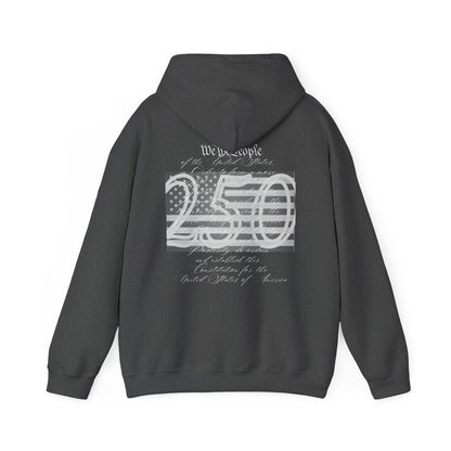 Patriotic We the People 250th Anniversary - Hoodie | Holiday | Roly Poly Print