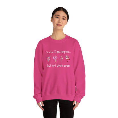 Santa I Can Explain, But Not While Sober Flamingos - Christmas Sweater | Holiday | Roly Poly Print