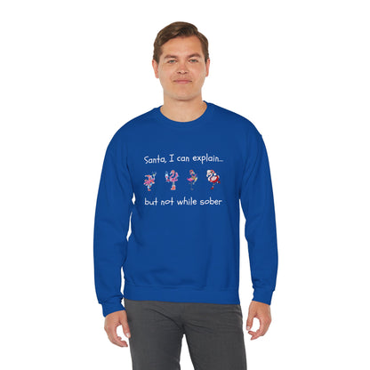 Santa I Can Explain, But Not While Sober Flamingos - Christmas Sweater | Holiday | Roly Poly Print